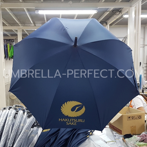 umbrella6