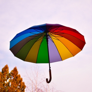 โครงร่ม ส่วนประกอบที่ทำให้ร่มแต่ละแบบแตกต่าง
