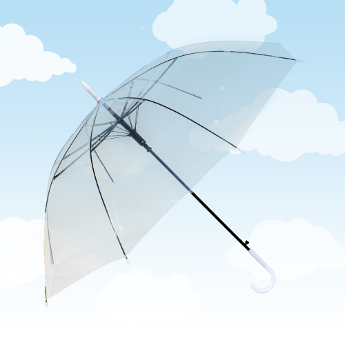 ร่มใส - clear umbrella cat