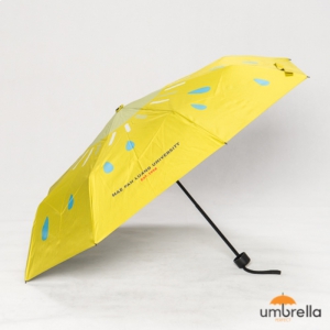premium-umbrella-care-tips-for-longevity