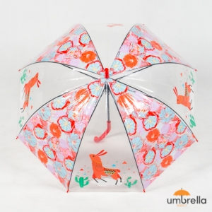 clear-vs-dark-umbrella-which-is-better